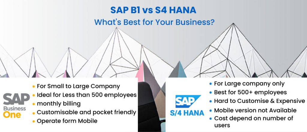 ERP SAP B1 Cloud S/4 HANA Cloud